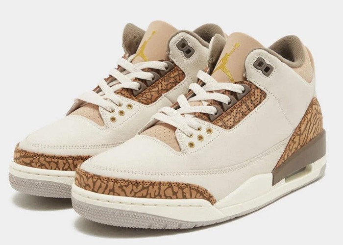 Air Jordan 3 Retro "Palomino" CT8532-102